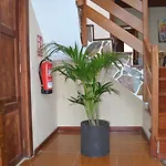Casa álamo Agaete * Agaete (Gran Canaria)