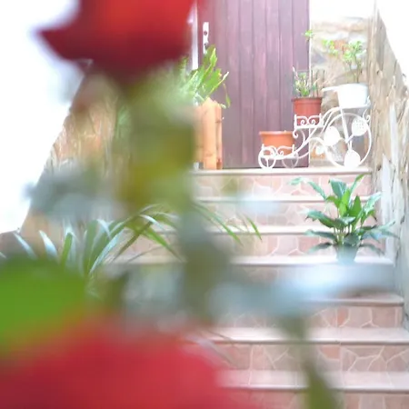 Casa Alamo Agaete Agaete (Gran Canaria)