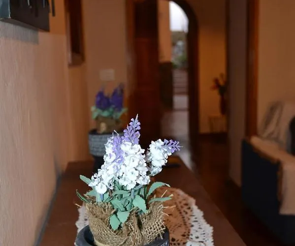 Casa Alamo Agaete Hotel *