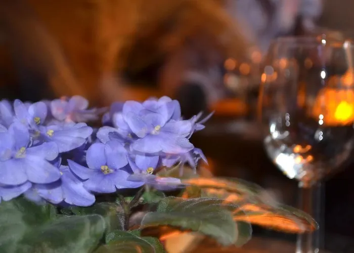 Casa Alamo Agaete Hotel *