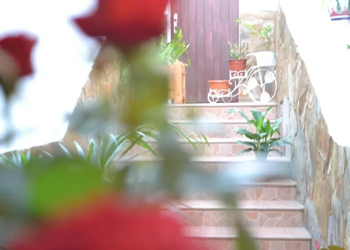 Casa Alamo Agaete Agaete (Gran Canaria)