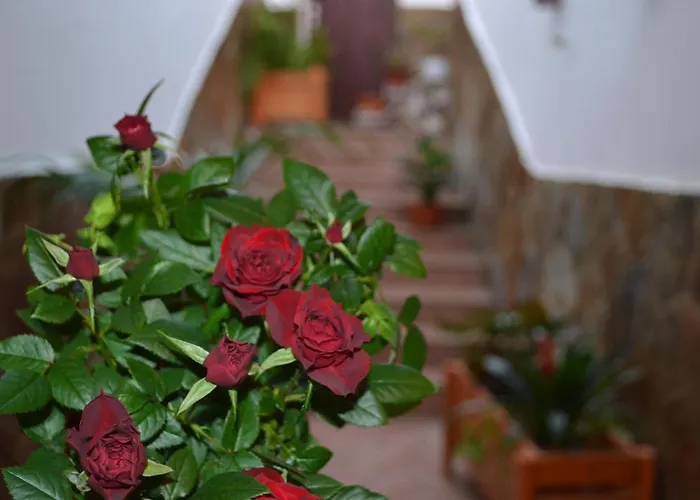 Hotel Casa Alamo Agaete Agaete (Gran Canaria)